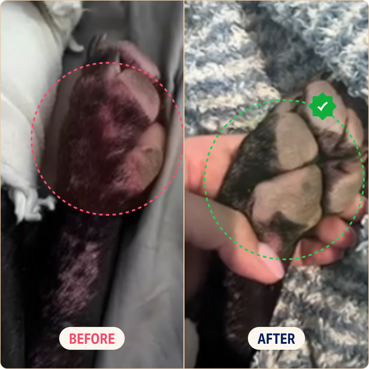 Natural Allergy Relief Chews