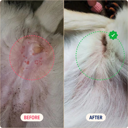 Natural Allergy Relief Chews