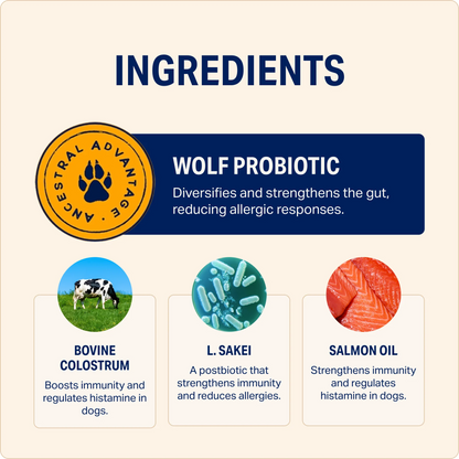 Natural Allergy Relief Chews