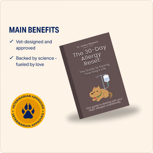 The 30-Day Allergy Reset E-Book